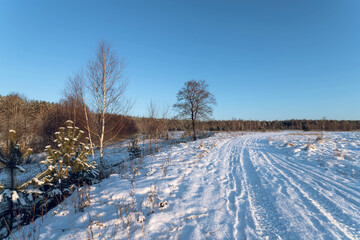 Landscape with winter road and bright sunbeams. Sunrise, sunset in beautiful snowy forest.