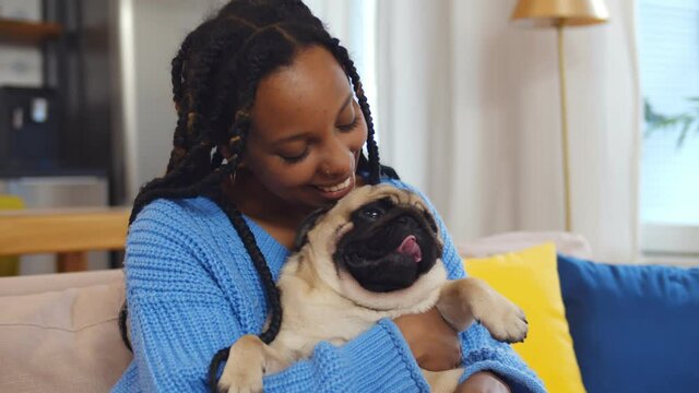 Smiling african woman playing with pet pug dog at home sitting on couch