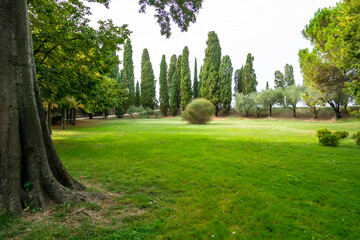 Fototapeta premium Garden of the Friars Minor on the island of San Francesco del Desert, Venice Italy