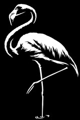 black and white linear paint draw flamingo illustration art © Turaev