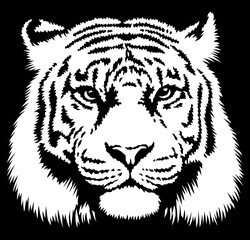 black and white linear paint draw tiger illustration art