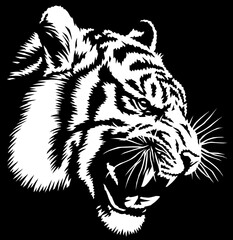 black and white linear paint draw tiger illustration art