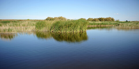 Lagoons in Tablas de Daimiel National Park, Biosphere Reserve since 1981, Castilla la Mancha, Spain