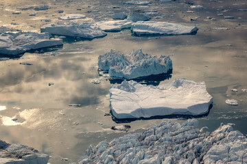 floating glaciers in the rays of the setting sun at polar night