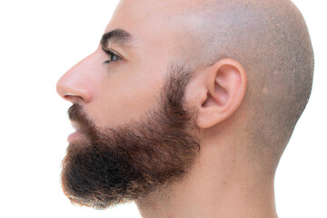 A bearded bold man profile portrait close up