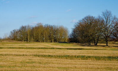 Ehemaliges Rieselfeld bei Berlin