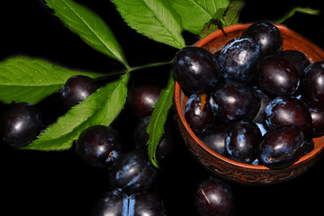 black currant berries
