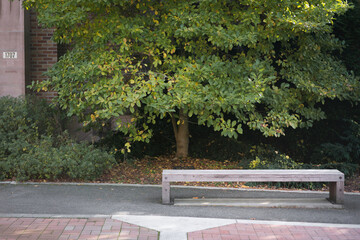 bench in the park