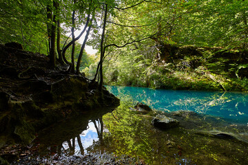 Otoño en Navarra 18