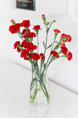 bouquet of red clove on white dresser in vase