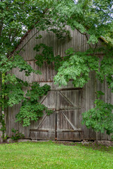 An old wooden barn overgrown with trees that its hard to get inside.