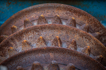 trilla oxidada, Treviño, basque country, spain