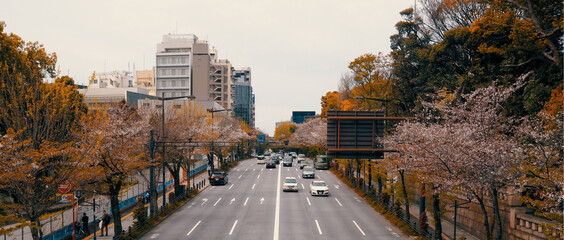 Japanese road from the bridge