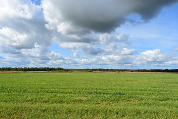 field and blue sky