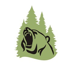 Bear's head on the background of the forest