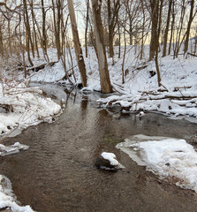 Winding Stream in a winter forest