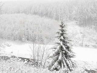 Snowy forest near of the ski resort at Pec pod Snezkou is one of the best-known mountain resorts in the Czech Republic.
