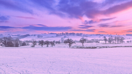 winter landscape with snow