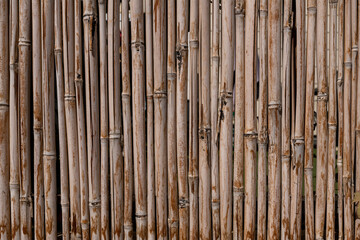 Natural organic bamboo wall fence