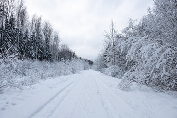 Obraz premium snowy white forest road in the countryside of Latvia