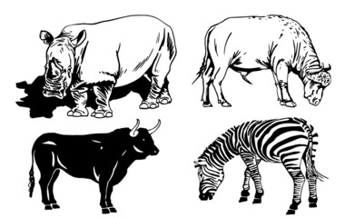 Vector set of  wild animals on white background, vector illustration
