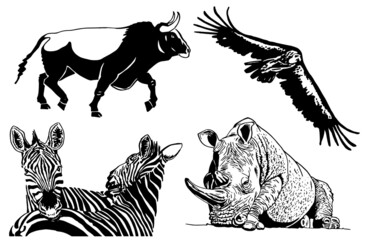 Vector set of  wild animals on white background, vector illustration
