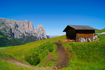 Alpine panorama of Alpe di Siusi showing a wooden horse hut with brown horses and a rough mountain range in the background.