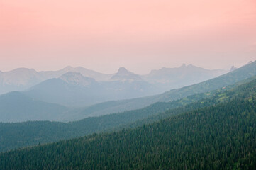 Taiga. Forest against the background of the sunset sky