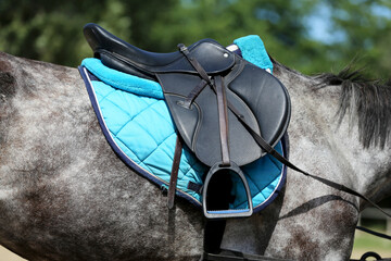 Old leather saddle with stirrups for show jumping race