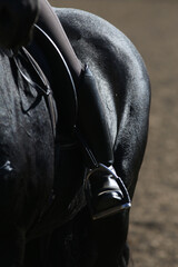 Old leather saddle with stirrups for show jumping race
