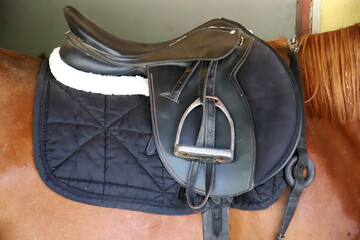 Old leather saddle with stirrups for show jumping race