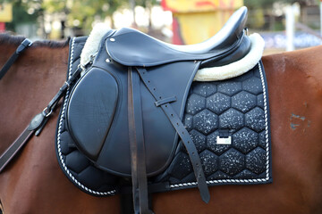 Old leather saddle with stirrups for show jumping race