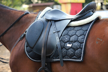 Old leather saddle with stirrups for show jumping race