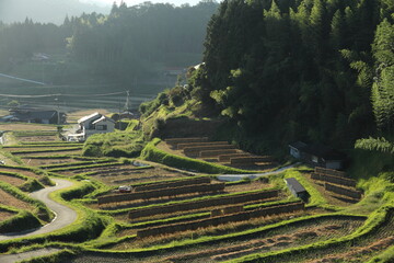 やまぐちの棚田２０選　周南市　中須北地区の棚田 　収穫期 © toktuk