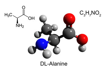 Chemical formula, skeletal formula and 3D ball-and-stick model of DL-alanine, an essential amino acid, white background