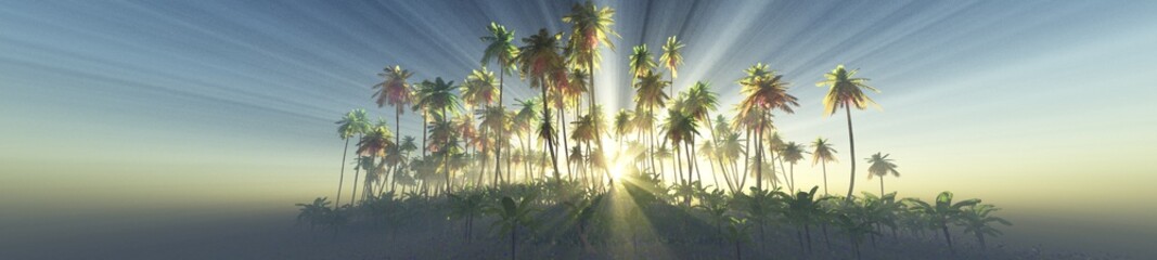 Palm trees at dawn in the sun, beach with palm trees in the fog, jungle in the haze, 3D rendering