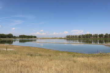 Obraz premium blue lake marsh reflection