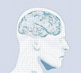 Geographic map of the brain, reworking of the human brain in the form of a map. Concept. CT scan. 3d render. Heights and orography, mountainous reliefs, valleys and terrains of the mind
