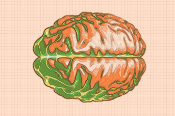 Geographic map of the brain, reworking of the human brain in the form of a map. Concept. CT scan. 3d render. Heights and orography, mountainous reliefs, valleys and terrains of the mind