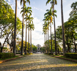 Praça da Liberdade (Liberty Square) alameda with the Government Palace in the fund, Belo...