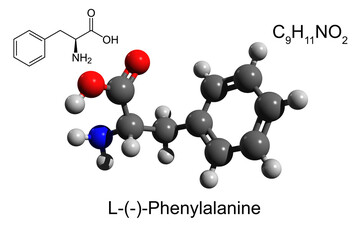 Chemical formula, skeletal formula and 3D ball-and-stick model of L-phenylalanine, an essential amino acid, white background