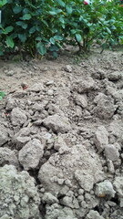 harte trockene Erde auf Feld Symbol Dürre Klimawandel 