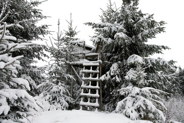 verschneiter Hochstand im Winterwald