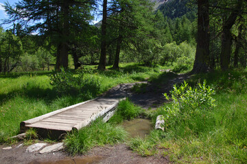 A hiking trail leading on a wooden footbridge through a marsh area near Hotel Paradiso del Cevedale in the Martell valley in South Tyrol, Italy