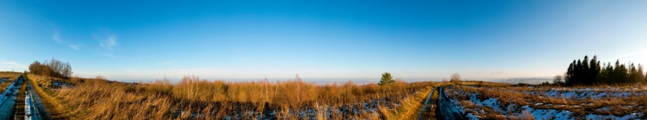 panorama of winter meadow, forest and clear sky in the mountains