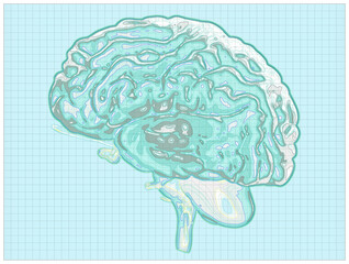 Geographic map of the brain, reworking of the human brain in the form of a map. Concept. CT scan. 3d render. Heights and orography, mountainous reliefs, valleys and terrains of the mind