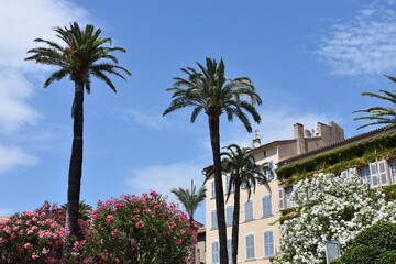 Fototapeta na wymiar Saint-Tropez sur la Côte d'Azur en France