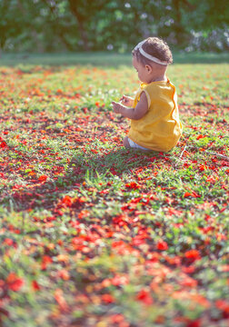 A baby girl in a yellow dress plays with the petals of the flamboyan flowers in the grass