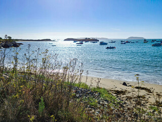 Bordeaux Harbour, Guernsey Channel Islands