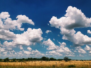 Obraz premium field and sky